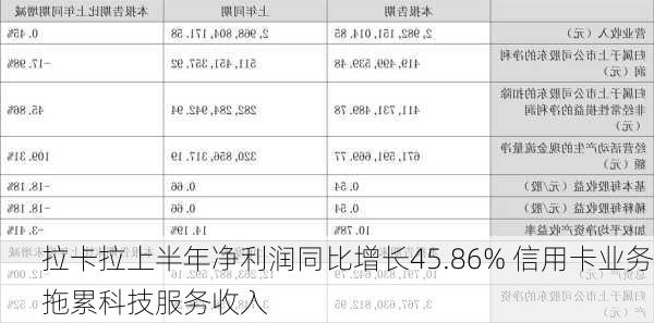 拉卡拉上半年净利润同比增长45.86% 信用卡业务拖累科技服务收入