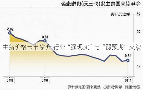 生猪价格节节攀升 行业“强现实”与“弱预期”交织