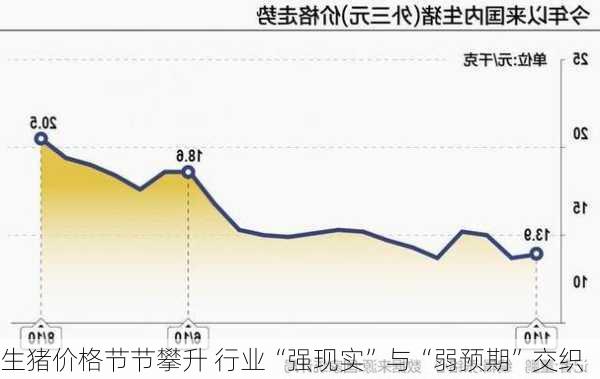 生猪价格节节攀升 行业“强现实”与“弱预期”交织