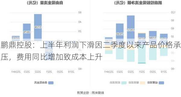 鹏鼎控股：上半年利润下滑因二季度以来产品价格承压，费用同比增加致成本上升