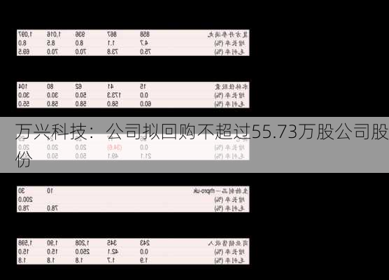 万兴科技：公司拟回购不超过55.73万股公司股份