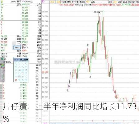 片仔癀：上半年净利润同比增长11.73%