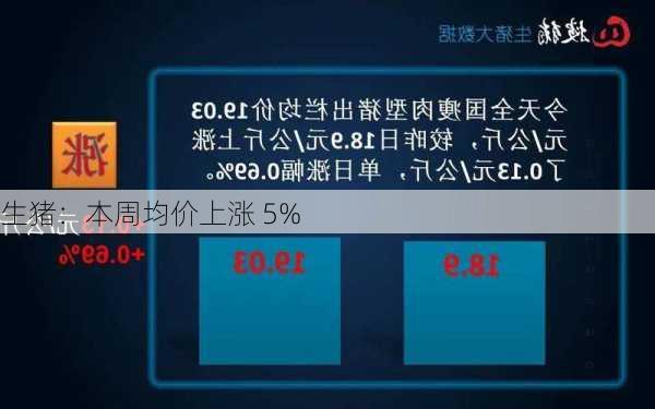 生猪：本周均价上涨 5%