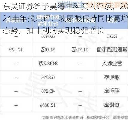 东吴证券给予昊海生科买入评级，2024半年报点评：玻尿酸保持同比高增态势，扣非利润实现稳健增长