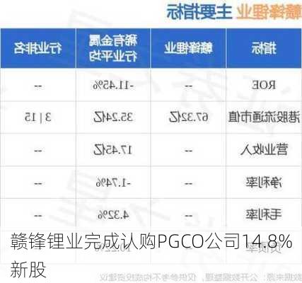 赣锋锂业完成认购PGCO公司14.8%新股