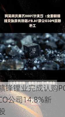 赣锋锂业完成认购PGCO公司14.8%新股