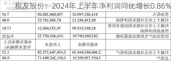 税友股份：2024年上半年净利润同比增长0.86%