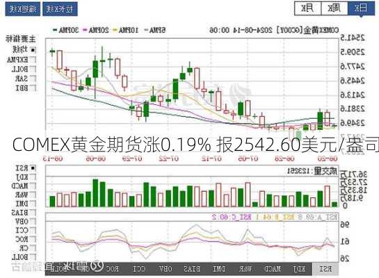 COMEX黄金期货涨0.19% 报2542.60美元/盎司