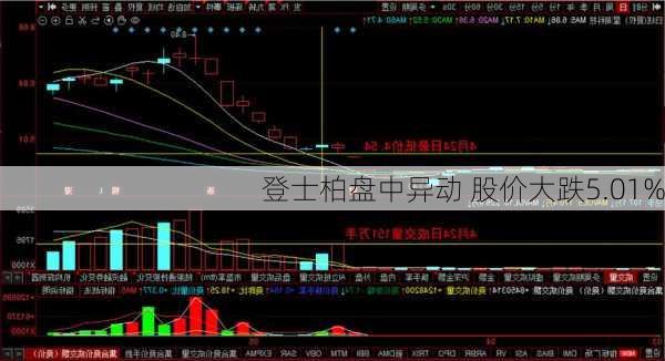 登士柏盘中异动 股价大跌5.01%