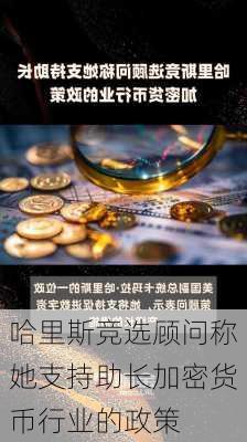 哈里斯竞选顾问称她支持助长加密货币行业的政策