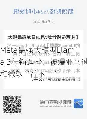 Meta最强大模型Llama 3行销遇挫：被爆亚马逊和微软“看不上”