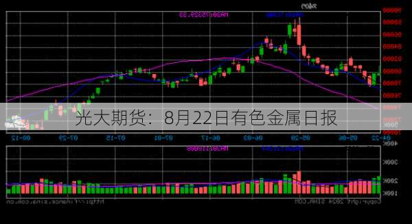 光大期货：8月22日有色金属日报