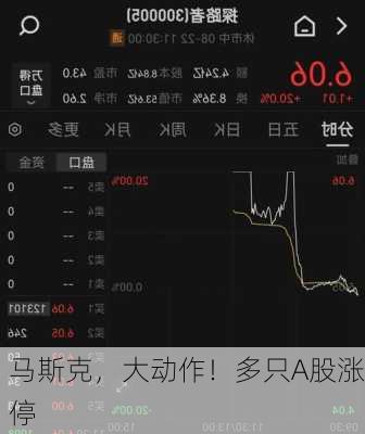 马斯克，大动作！多只A股涨停