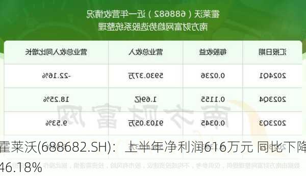 霍莱沃(688682.SH)：上半年净利润616万元 同比下降46.18%