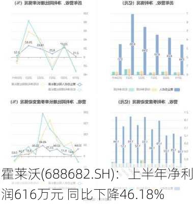 霍莱沃(688682.SH)：上半年净利润616万元 同比下降46.18%