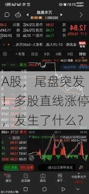 A股，尾盘突发！多股直线涨停，发生了什么？