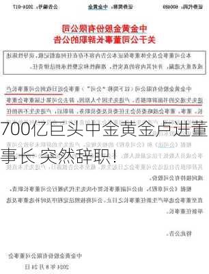 700亿巨头中金黄金卢进董事长 突然辞职！