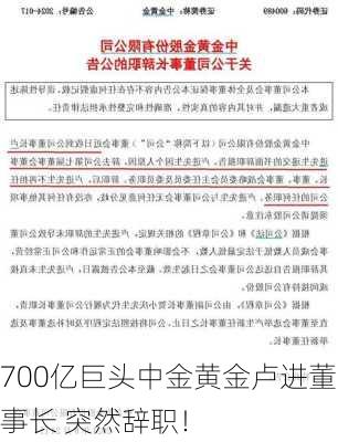 700亿巨头中金黄金卢进董事长 突然辞职！