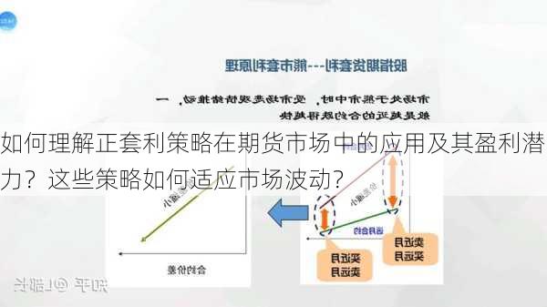 如何理解正套利策略在期货市场中的应用及其盈利潜力？这些策略如何适应市场波动？