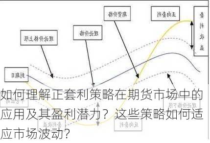 如何理解正套利策略在期货市场中的应用及其盈利潜力？这些策略如何适应市场波动？