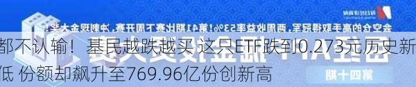 都不认输！基民越跌越买 这只ETF跌到0.273元历史新低 份额却飙升至769.96亿份创新高