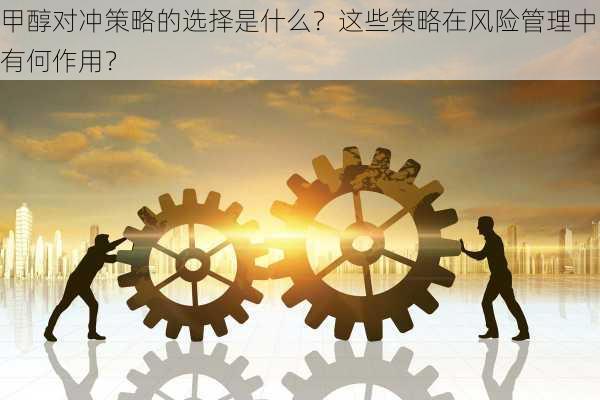 甲醇对冲策略的选择是什么？这些策略在风险管理中有何作用？