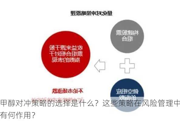 甲醇对冲策略的选择是什么？这些策略在风险管理中有何作用？