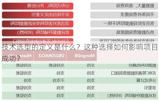 技术选型的定义是什么？这种选择如何影响项目成功？