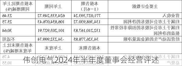 伟创电气2024年半年度董事会经营评述