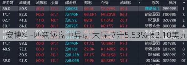 安博科-匹兹堡盘中异动 大幅拉升5.53%报2.10美元