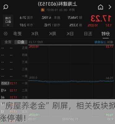 “房屋养老金”刷屏，相关板块掀涨停潮！