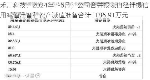 禾川科技：2024年1-6月，公司合并报表口径计提信用减值准备和资产减值准备合计1186.91万元