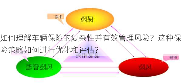 如何理解车辆保险的复杂性并有效管理风险？这种保险策略如何进行优化和评估？