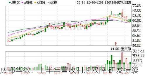 成都华微：上半年营收利润双降 研发持续