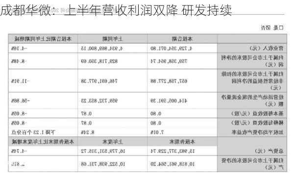 成都华微：上半年营收利润双降 研发持续