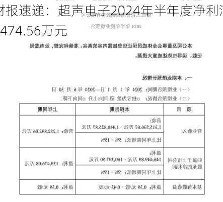 财报速递：超声电子2024年半年度净利润7474.56万元