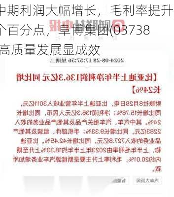 中期利润大幅增长，毛利率提升4个百分点，阜博集团(03738)高质量发展显成效