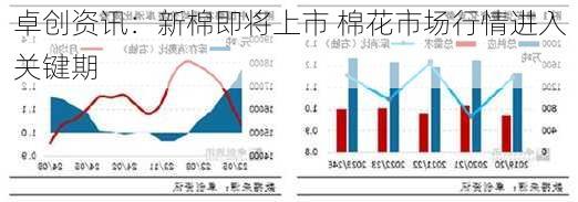 卓创资讯：新棉即将上市 棉花市场行情进入关键期