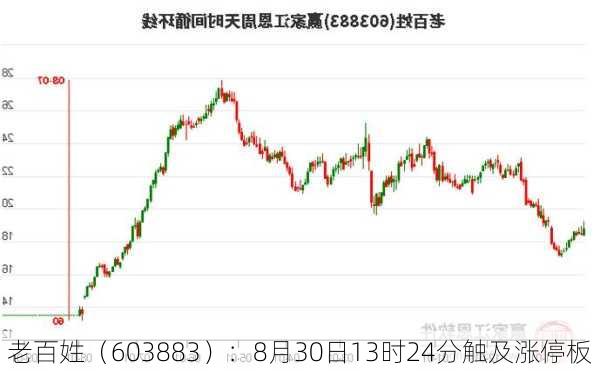 老百姓（603883）：8月30日13时24分触及涨停板