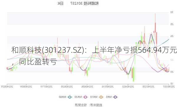 和顺科技(301237.SZ)：上半年净亏损564.94万元，同比盈转亏