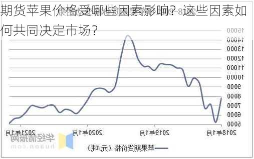 期货苹果价格受哪些因素影响？这些因素如何共同决定市场？