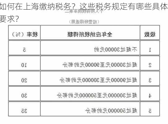 如何在上海缴纳税务？这些税务规定有哪些具体要求？