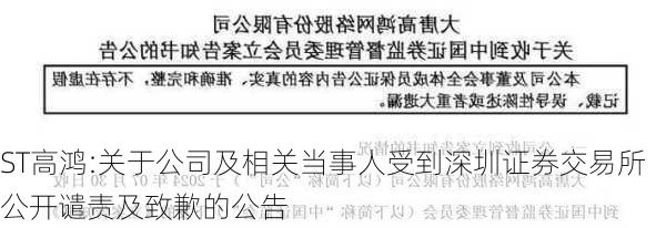 ST高鸿:关于公司及相关当事人受到深圳证券交易所公开谴责及致歉的公告