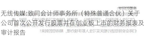 无线传媒:致同会计师事务所（特殊普通合伙）关于公司首次公开发行股票并在创业板上市的财务报表及审计报告