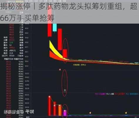 揭秘涨停丨多肽药物龙头拟筹划重组，超66万手买单抢筹