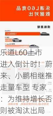 乐道L60上市进入倒计时！蔚来、小鹏相继推走量车型 专家：为维持增长否则被淘汰出局