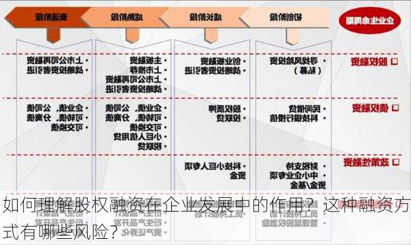 如何理解股权融资在企业发展中的作用？这种融资方式有哪些风险？