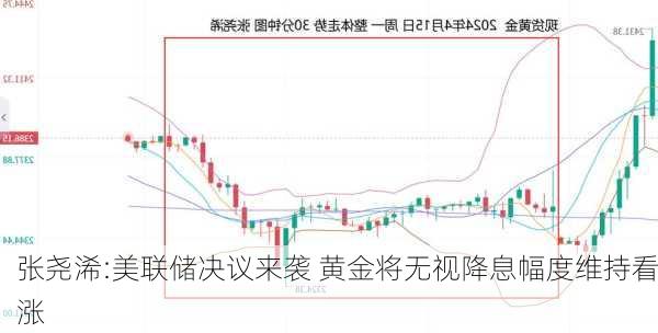 张尧浠:美联储决议来袭 黄金将无视降息幅度维持看涨