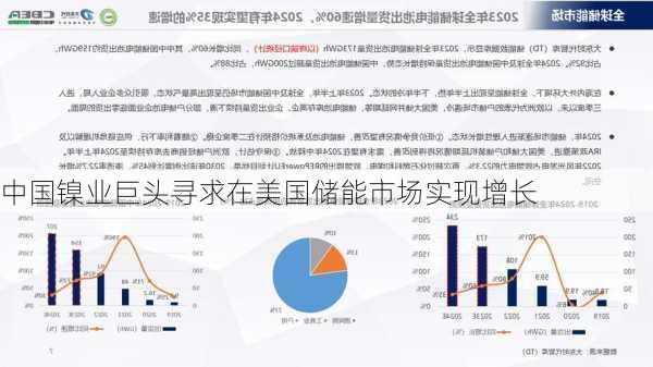 中国镍业巨头寻求在美国储能市场实现增长