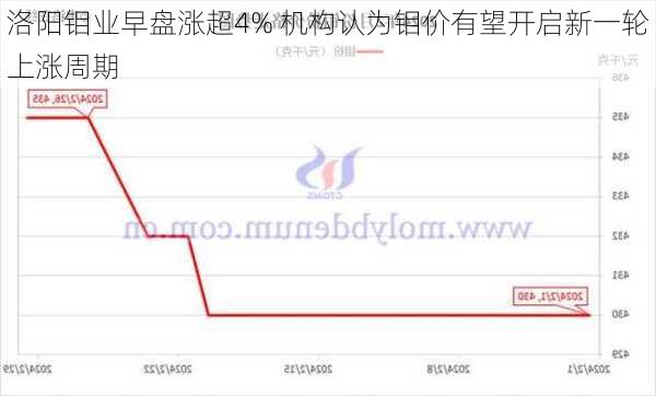 洛阳钼业早盘涨超4% 机构认为钼价有望开启新一轮上涨周期